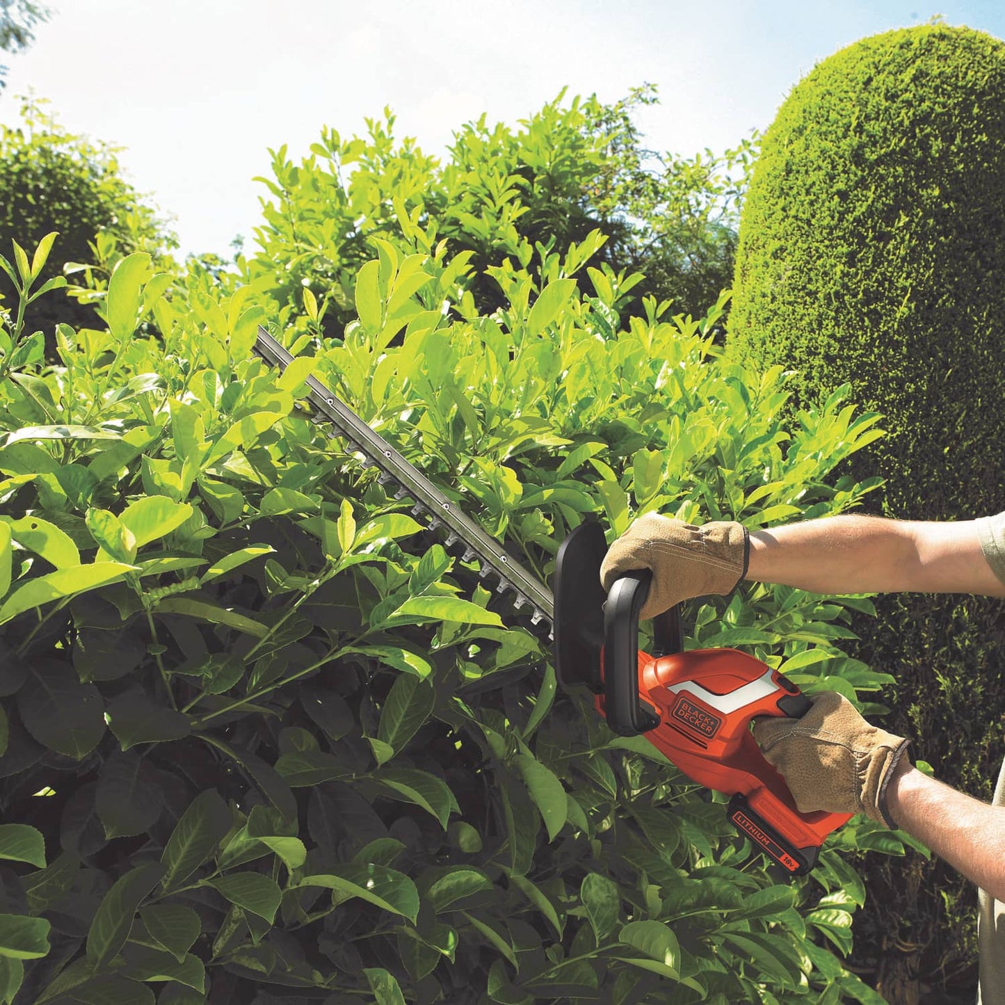 Black & Decker 18V Hedge Trimmer